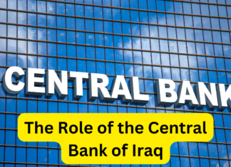The Role of the Central Bank