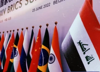 Economist: Joining BRICS is one of the solutions to diversify sources of hard currency