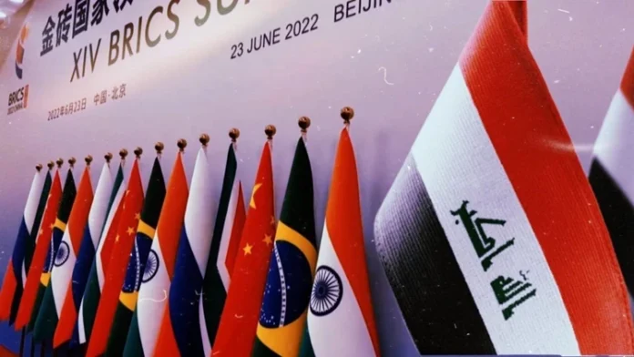 Economist: Joining BRICS is one of the solutions to diversify sources of hard currency