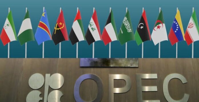 Iraq confirms its support and commitment to the OPEC+ agreement in determining oil production levels