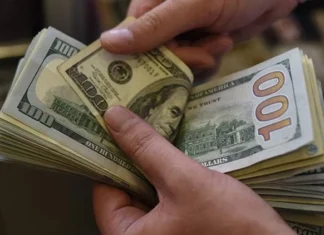 Parliamentary Finance: The Central Bank has come a long way in its mission to get rid of the dominance of the dollar
