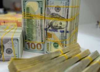 An economic vision on linking the dinar to the US dollar: a weak point for Iraq