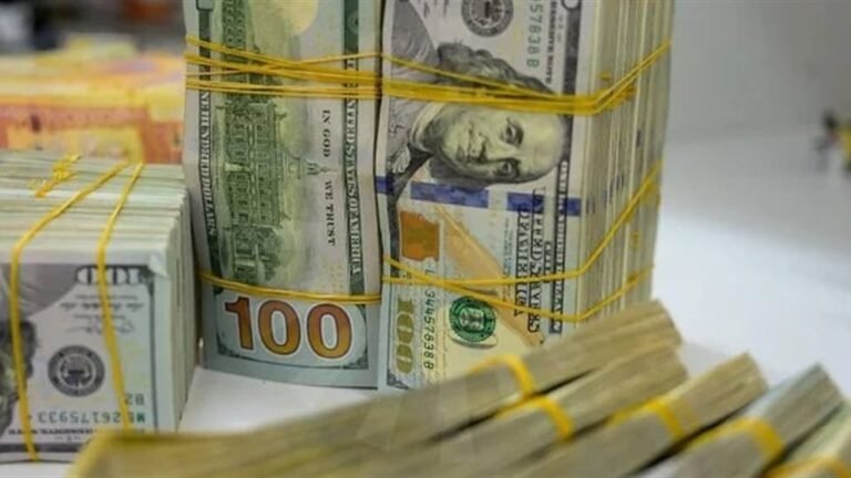 After canceling the electronic platform…the Central Bank reveals the mechanism for financing foreign trade
