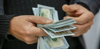 An economist criticizes the central bank for dealing with the dollar crisis in “traditional ways”