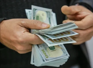An economist criticizes the central bank for dealing with the dollar crisis in “traditional ways”