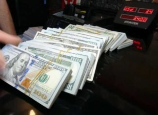 CBI sells 206 million in forex on Monday