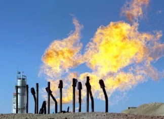 Deputy: Political differences are behind the obstruction of the legislation of the oil and gas law