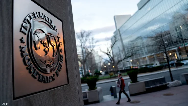 IMF advocates for central bank autonomy in the face of rate cut pressures during election years