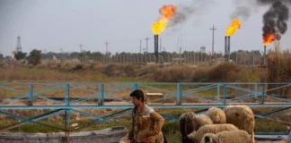 The National: Iraq must diversify its economy and facilitate business