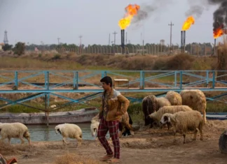 The National: Iraq must diversify its economy and facilitate business The National: Iraq must diversify its economy and facilitate business