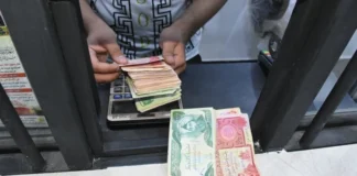 Cougar: The region’s employees fear the “My Account” platform, which is affiliated with the parties in power