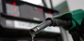 An economist identifies the factors for achieving self-sufficiency in gasoline