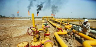 Deputy: The gas import bill will begin to decline starting in 2025