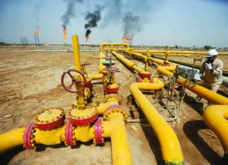 Deputy: The gas import bill will begin to decline starting in 2025