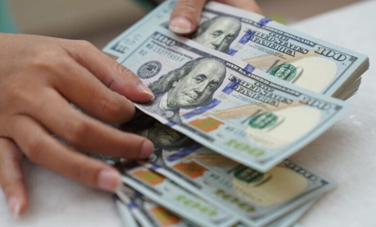 The persistence of the dollar gap disturbs the Sudanese governments service successes. Newspaper analysis