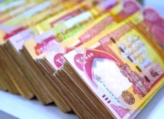 A new directive to launch a new round of soft loans for job seekers