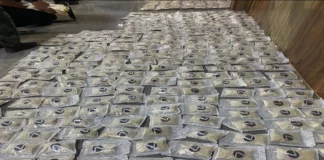 Within a year... Customs announces the seizure of more than 3 million narcotic pills