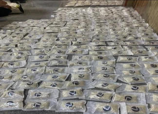 Within a year... Customs announces the seizure of more than 3 million narcotic pills