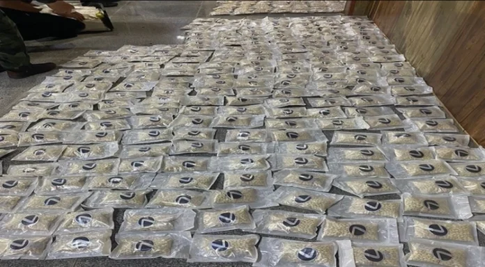 Within a year... Customs announces the seizure of more than 3 million narcotic pills