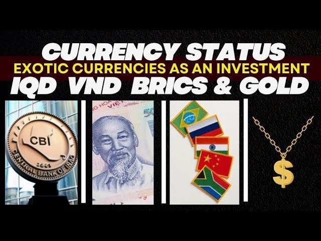 Edu Matrix – HD -Currency Status IQD VND BRICS & Gold Exchange Rates