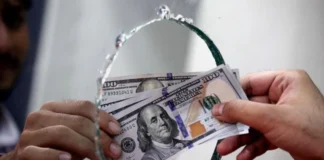 Economist calls for cancelling currency selling window