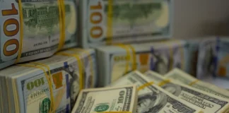 Economist explains the reasons for the rise in the dollar price again
