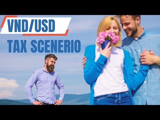 Edu Matrix – VND Tax Scenario for IQD Investors – Short Story