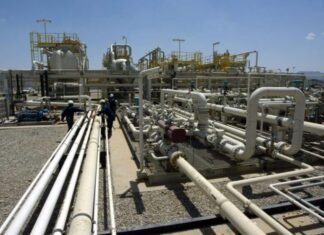 Oil firms in Iraqi Kurdistan increase output