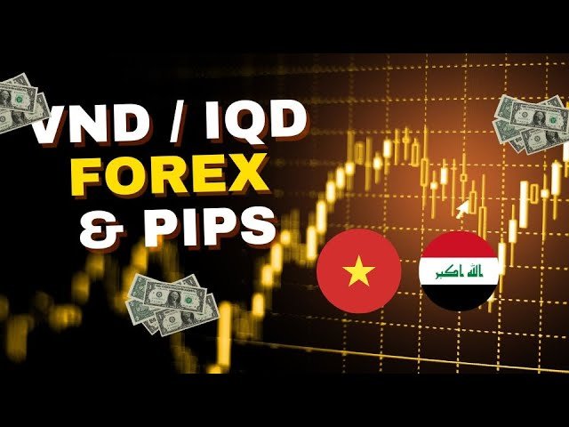 Edu Matrix – VND IQD Forex and Pips Explained