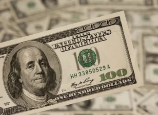 Dollar makes biggest gains in nearly 6 months