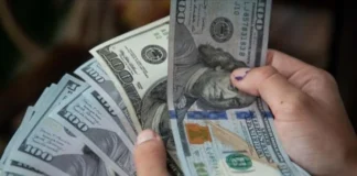 Economist: Political blocs and figures behind the rise in the dollar exchange rate