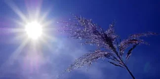 Iraqi Project gets $29m for Climate Resilience