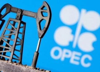 OPEC cuts 2024, 2025 global oil demand growth view again