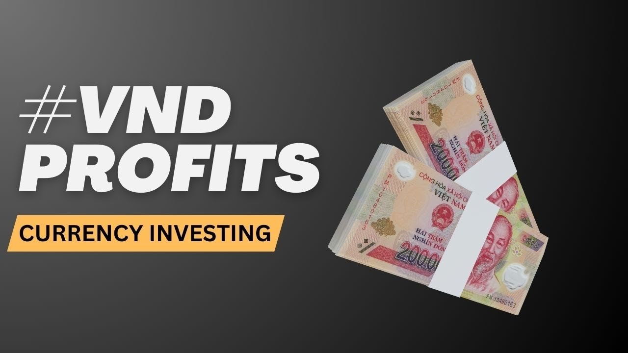Edu Matrix – Why Investing in the VND is a Good Idea Exchange Rates Currency News