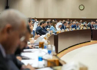 MP: Parliament will pass controversial laws and question two ministers