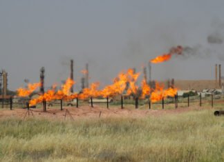 Oil slips on buildup in US gasoline stocks eyes on weekend OPEC meeting