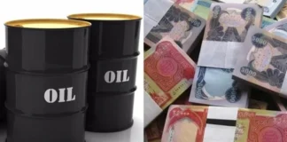 Parliamentary calls to reconsider calculating the price of a barrel of oil in the 2025 budget