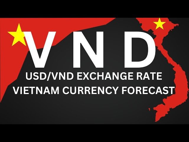Edu Matrix – Vietnam Dong Exchange Rate Economic Forecast Foreign Investors #vnd