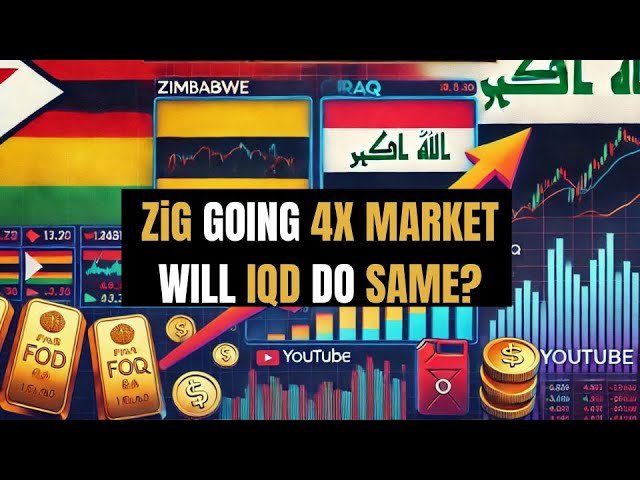 Edu Matrix – ZiG Going on 4X Market Will Iraq Do the Same?
