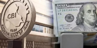 Parliamentary move towards the Central Bank regarding the dollar exchange rate