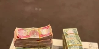 Rafidain Bank announces statistics on Riyada Initiative loans granted to graduates this year