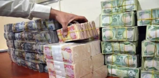 Former MP: Finance decisions reflect repercussions of economic crisis and situation does not bode well