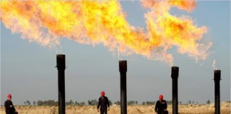 Parliamentary Wealth Reveals Who Is Responsible for Suspending the Oil and Gas Law