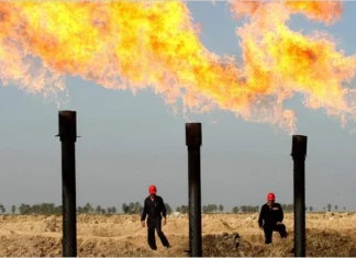 Parliamentary Wealth Reveals Who Is Responsible for Suspending the Oil and Gas Law