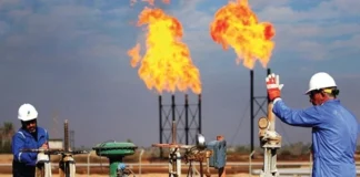 Parliamentary Committee Calls on Government to Refer Oil and Gas Law to Parliament Immediately