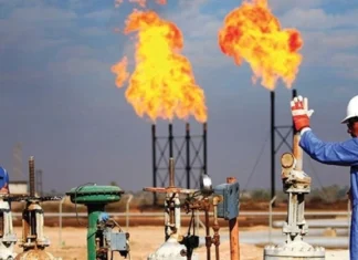 Parliamentary Committee Calls on Government to Refer Oil and Gas Law to Parliament Immediately