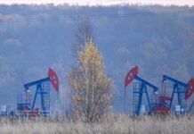 Oil prices take breather after prospect of increased supply triggered selloff