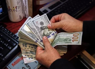 What does the Central Bank's decision to support pilgrims in dollars mean?