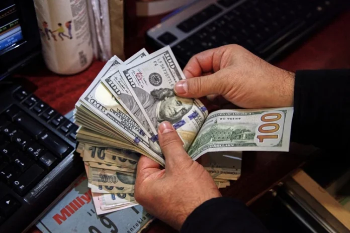 What does the Central Bank's decision to support pilgrims in dollars mean?