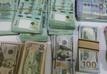 Sudanese advisor: Colorful noise behind the dollar’s rise